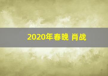 2020年春晚 肖战